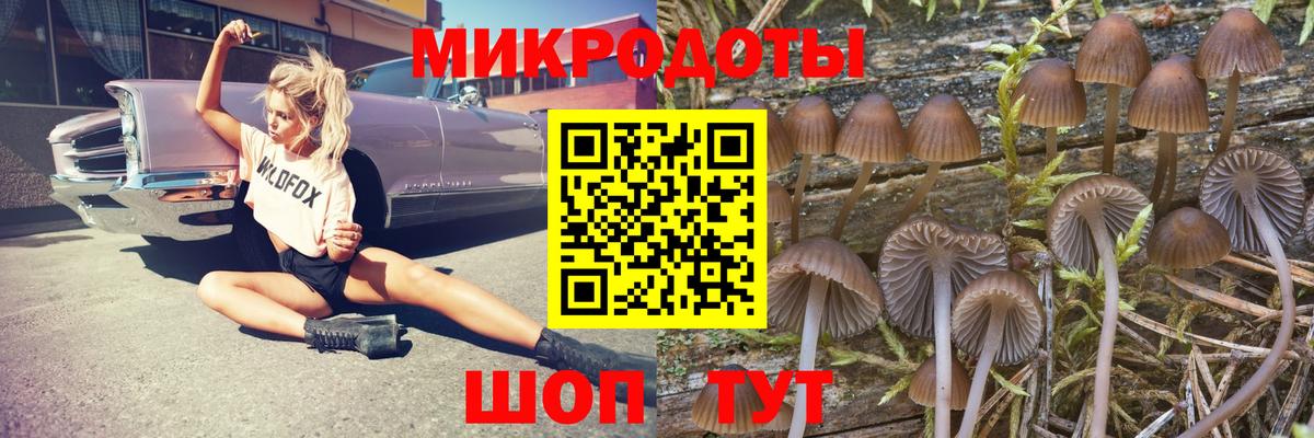 Галлюциногенные грибы мицелий Калач-на-Дону